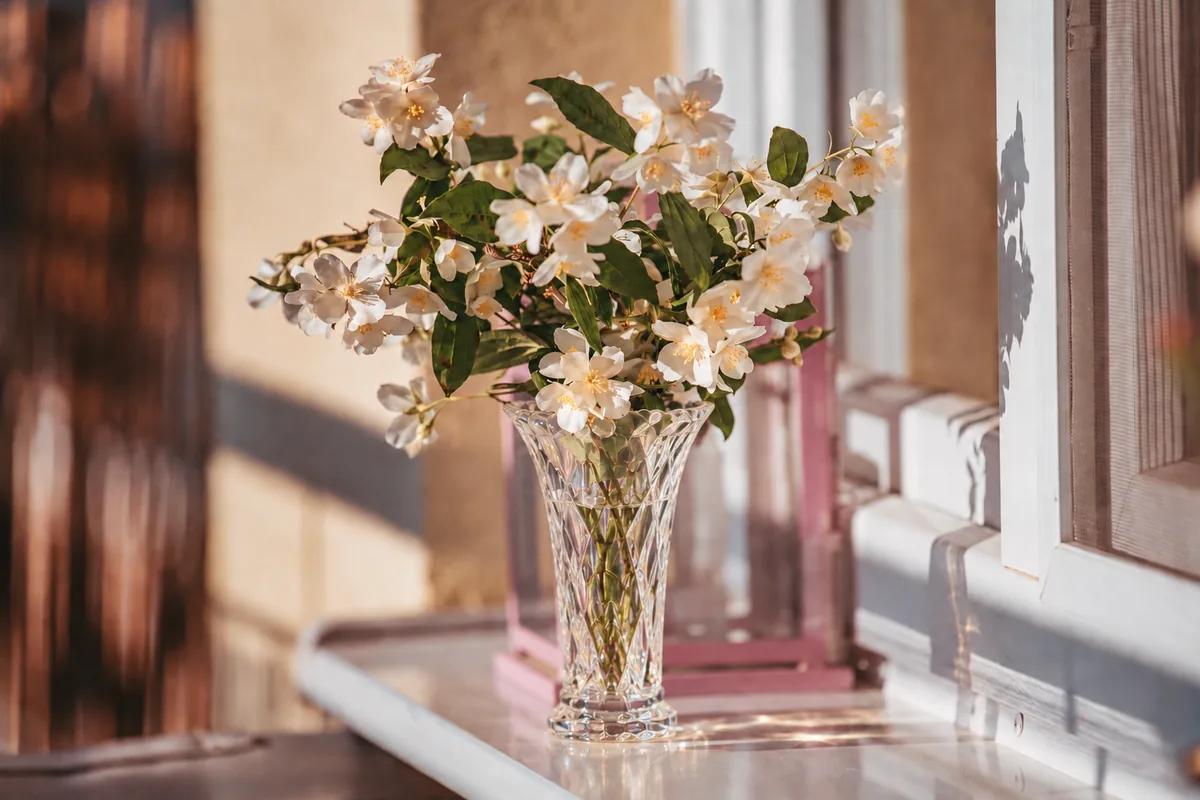 Arranjo de flores brancas e folhagens em vaso de vidro junto à janela.